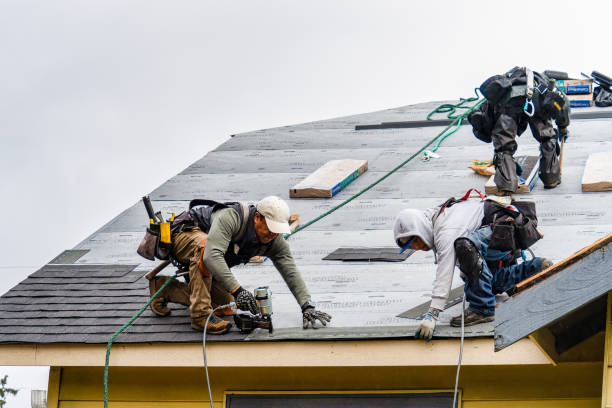 Professional Roofing technician working in Percival, IA